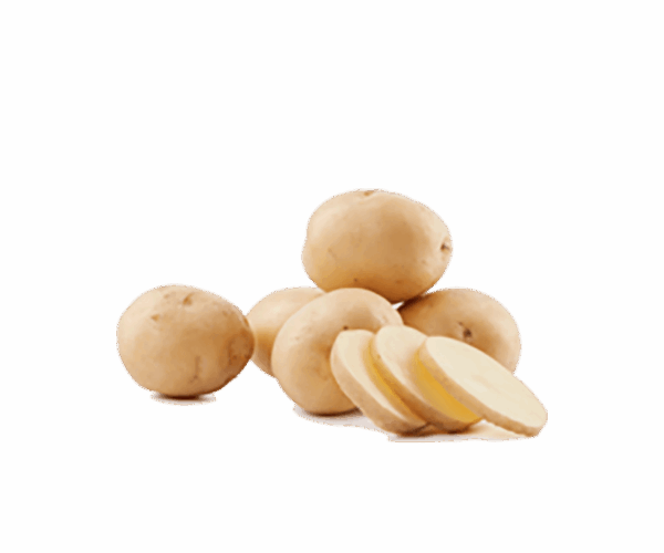 h3-product8 h3-product8